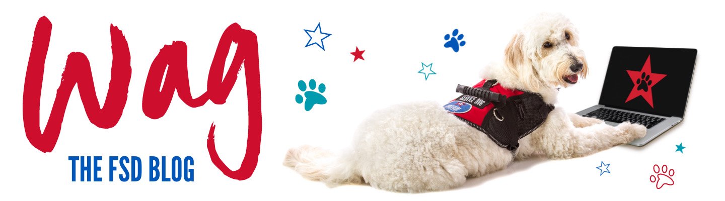 Wag blog header