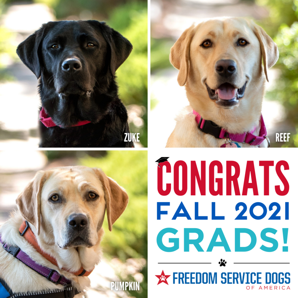 Fall 2021 grads dogs
