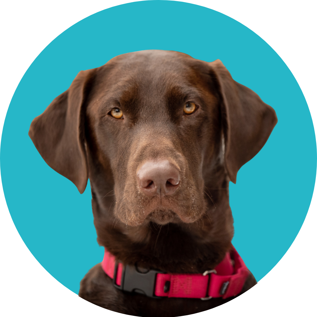 GIF stickers (50) GIF stickers (50)