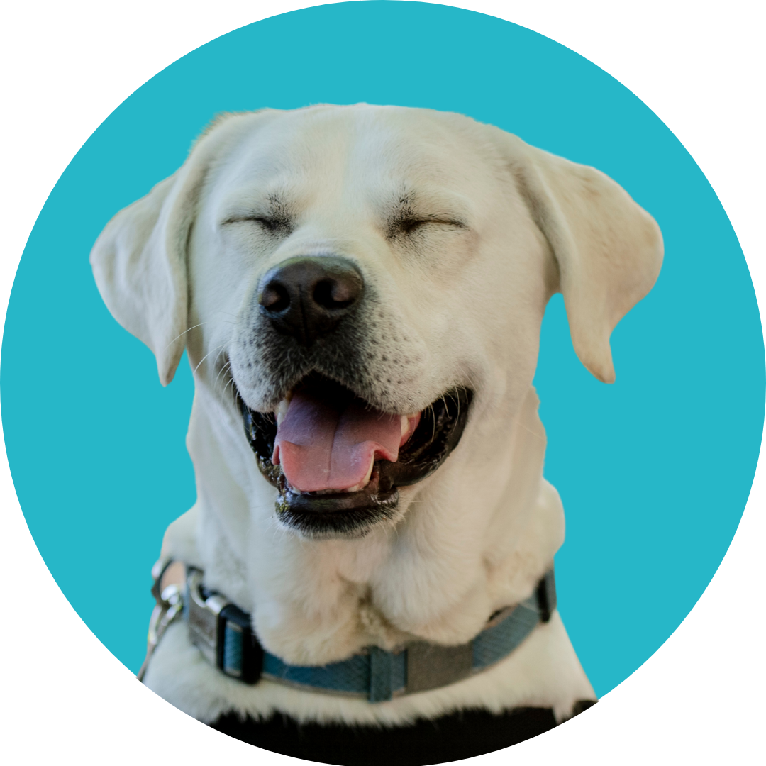 GIF stickers (57) GIF stickers (57)