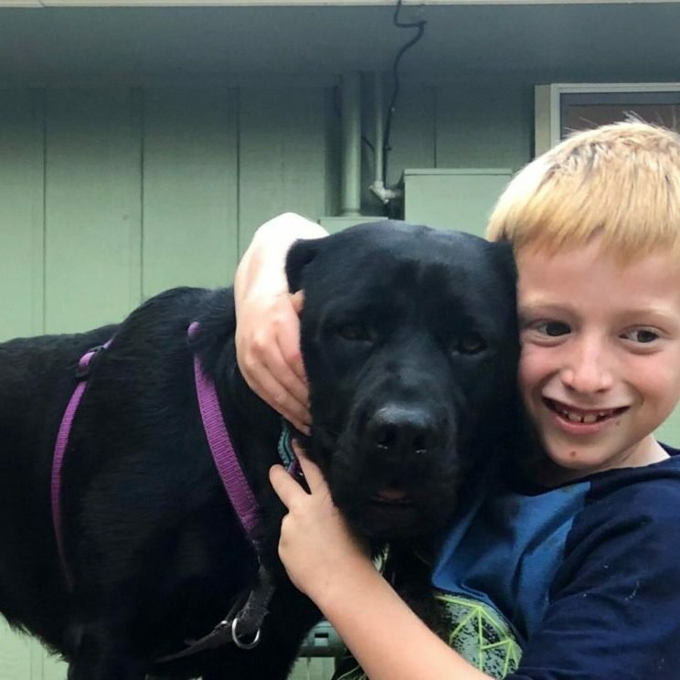 Wyatt & Aussie on porch