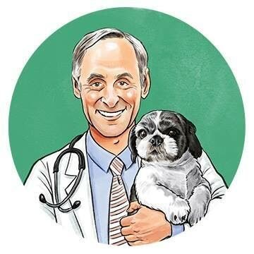 dr marty