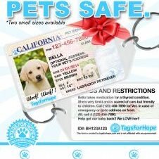 tagsforhope-poster-usa-download-226x300