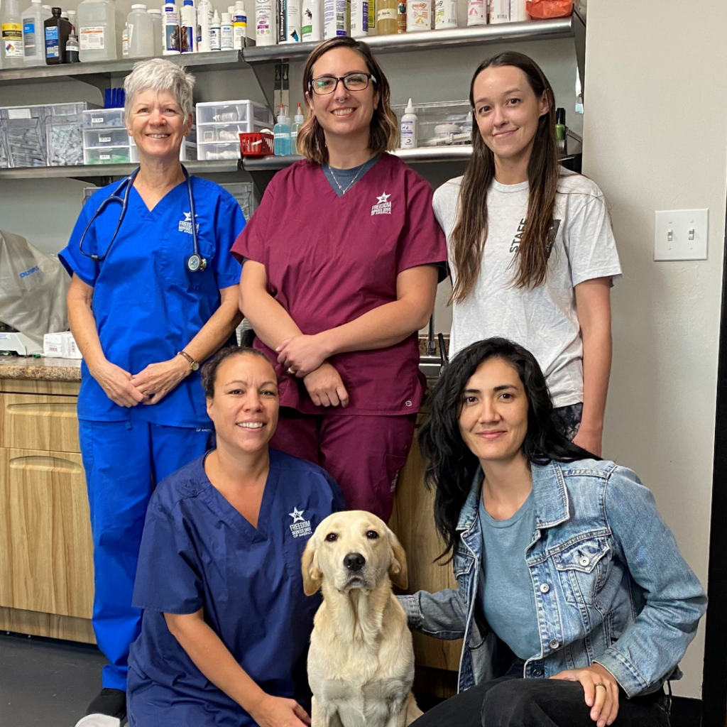 vet team square
